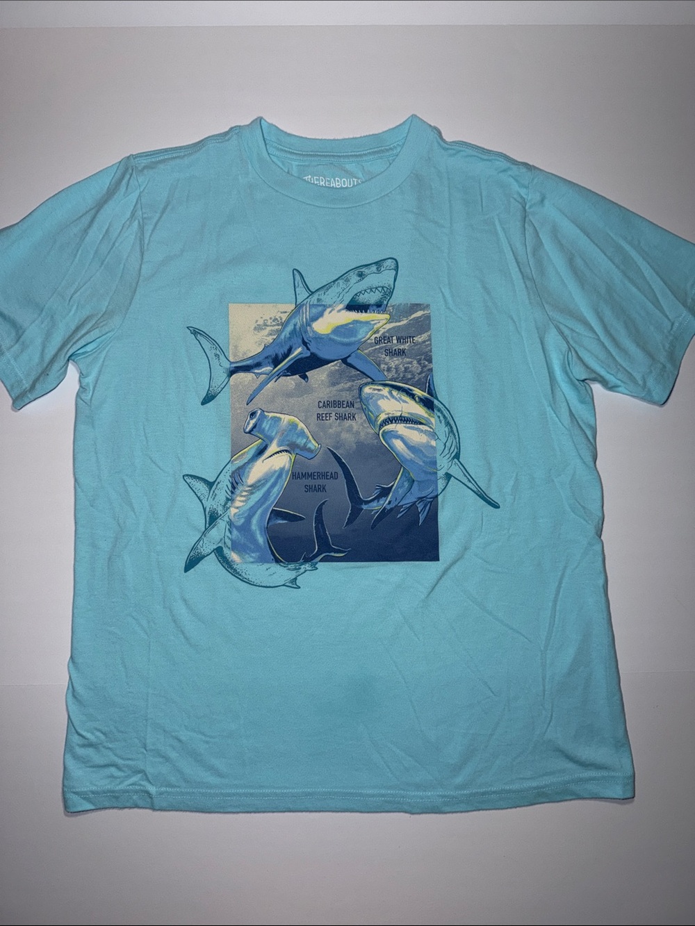 Breakabout Boys' Light Blue Shark Graphic Tee - Husky Large